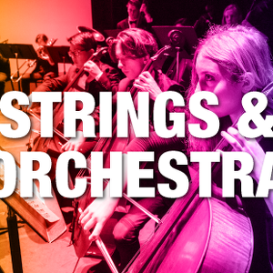 IM: Strings & Orchestra Program